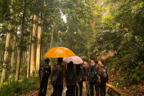 foto praktek Lapangan Mahasiswa Jurusan Kepariwisataan di hutan sedang memakai payung